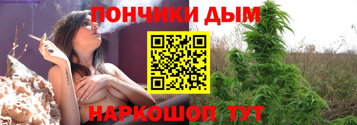 Шишки марихуана тримм  Бошки марихуана Bruce Banner  Бошки марихуана Amnesia  Вход с VPN  Марихуана семена  Бузулук 